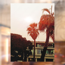 熱帯の窓の付き根