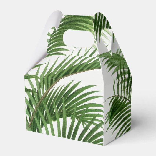 熱帯の緑の水の色のヤシのモノグラムの木 フェイバーボックス (裏面サイド)