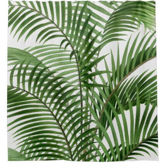 熱帯の緑の水の色のヤシの木葉の シャワーカーテン (正面)