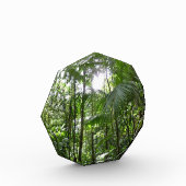 熱帯の緑 ジャングルの天蓋を通る日光 フォトブロック (左)