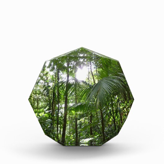 熱帯の緑 ジャングルの天蓋を通る日光 フォトブロック (正面)