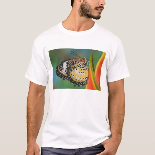 熱帯の花の上の蝶 Tシャツ (正面)