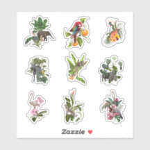 熱帯の花、ヤシの離れ花と鳥のセット。