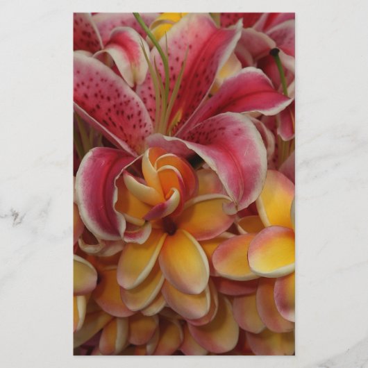 熱帯の花 便箋 (正面)