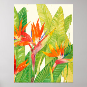 熱帯の花 Bird of Paradise ポスター