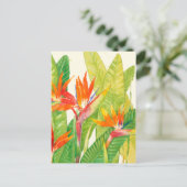 熱帯の花 | Bird of Paradise ポストカード (スタンド正面)