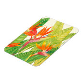 熱帯の花 | Bird of Paradise マグネット (左側)