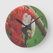 熱帯の赤いインコ ラウンド壁時計 (正面)