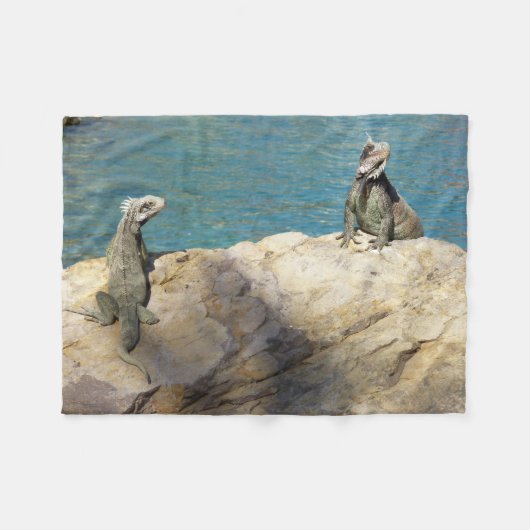 熱帯の野生生物写真:2匹のイグアナ フリースブランケット (正面(横))