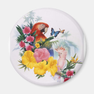 熱帯の魅惑 マグネット