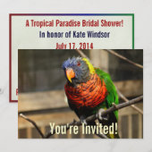 熱帯の鳥の招待状 オリケエット インコ 招待状 (正面/裏面)