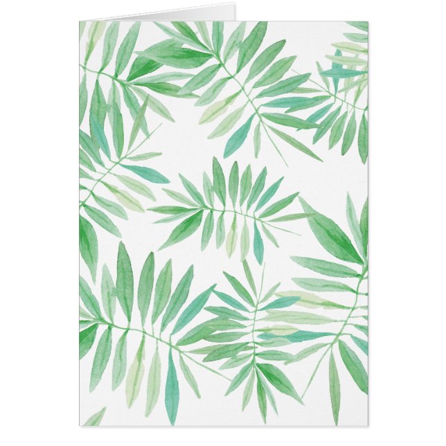 熱帯やしシダの嵐 (正面)