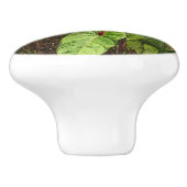 「熱帯アンチューリウムプラント」セラミックドア/プルセラ セラミックノブ (側面)