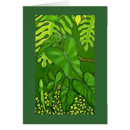 熱帯エデンの詳細