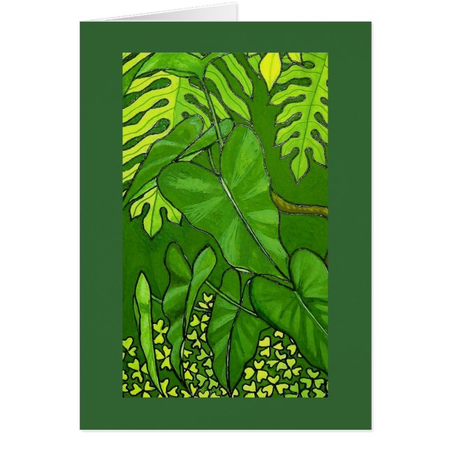 熱帯エデンの詳細 (正面)