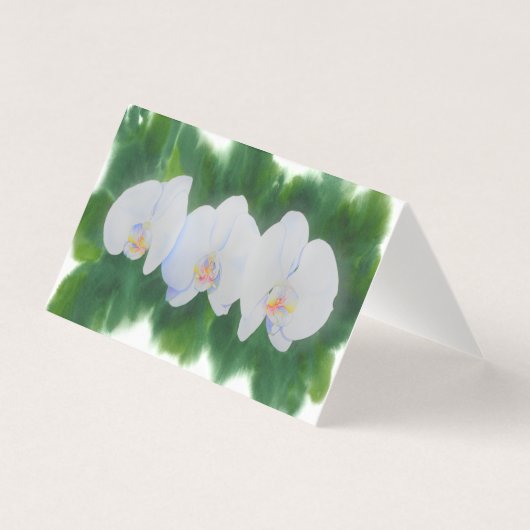 熱帯エレガント白い水の色のラン絵画ド (正面)