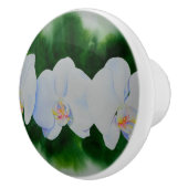 熱帯エレガント白い水の色のラン絵画ド セラミックノブ (右)