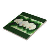 熱帯エレガント白い水の色のラン絵画ド タイル (側面)