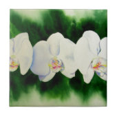 熱帯エレガント白い水の色のラン絵画ド タイル (正面)