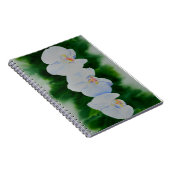 熱帯エレガント白い水の色のラン絵画ド ノートブック (右側)