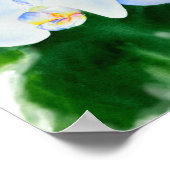 熱帯エレガント白い水の色のラン絵画ド ポスター (角)