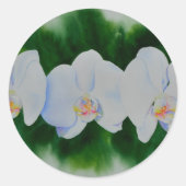 熱帯エレガント白い水の色のラン絵画ド ラウンドシール (正面)