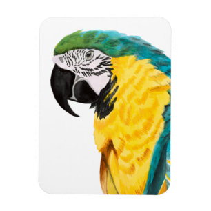熱帯オウムの鳥 マグネット