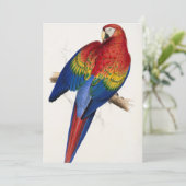 熱帯オウム招待状 招待状 (スタンド正面)