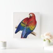 熱帯オウム時計 スクエア壁時計 (ホーム)