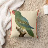 熱帯オウム クッション (ブランケット)