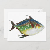 熱帯オパール魚、ヴィンテージ海洋水中競技動物 ポストカード (正面/裏面)