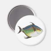 熱帯オパール魚、ヴィンテージ海洋水中競技動物 マグネット (正面/裏面)