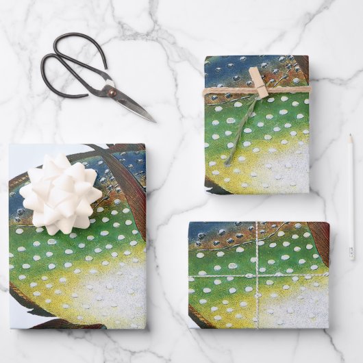 熱帯オパール魚、ヴィンテージ海洋水中競技動物 ラッピングペーパーシート (正面)