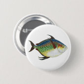 熱帯オパール魚、ヴィンテージ海洋水中競技動物 缶バッジ (正面&裏面)