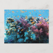 熱帯オレンジ色の魚とピンク色のサンゴ シーズンポストカード (正面)