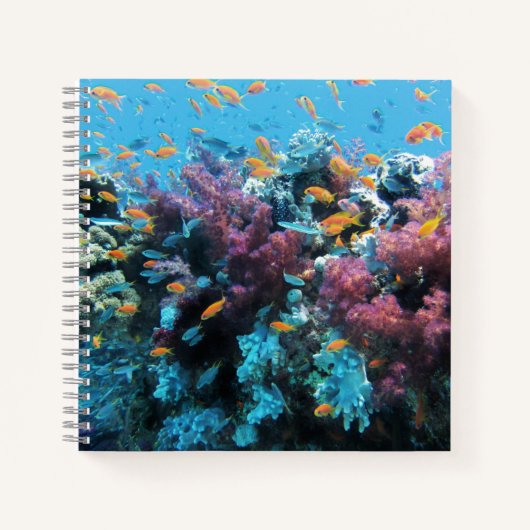 熱帯オレンジ色の魚とピンク色のサンゴ ノートブック (正面)
