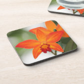 熱帯オレンジ蘭のコースター コースター (左側)
