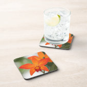 熱帯オレンジ蘭のコースター コースター (右側)