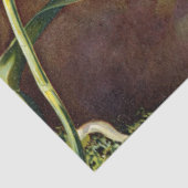 熱帯オーキッドフラワーズフローラティッシュペーパー 薄葉紙 (詳細)