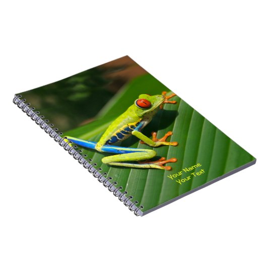 熱帯カスタマイズ雨林の緑の赤目のカエル ノートブック (右側)