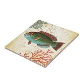 熱帯カラフルでカリブのな魚および珊瑚 タイル (側面)