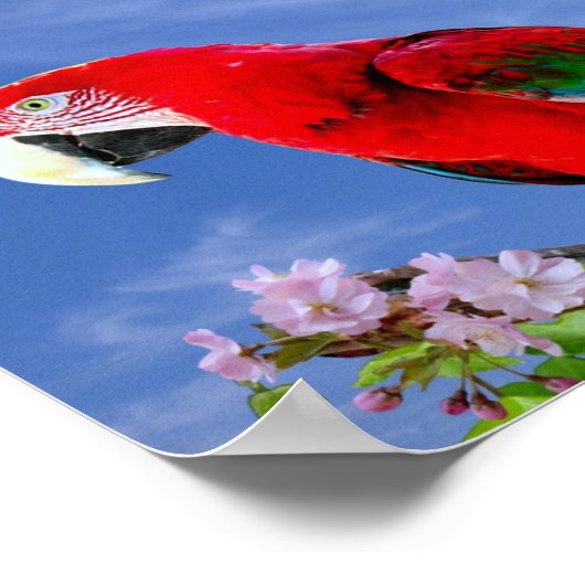 熱帯カラフルオウム ポスター (角)