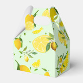 熱帯カラフルシトラス夏オレンジレモンスライス フェイバーボックス (裏面サイド)