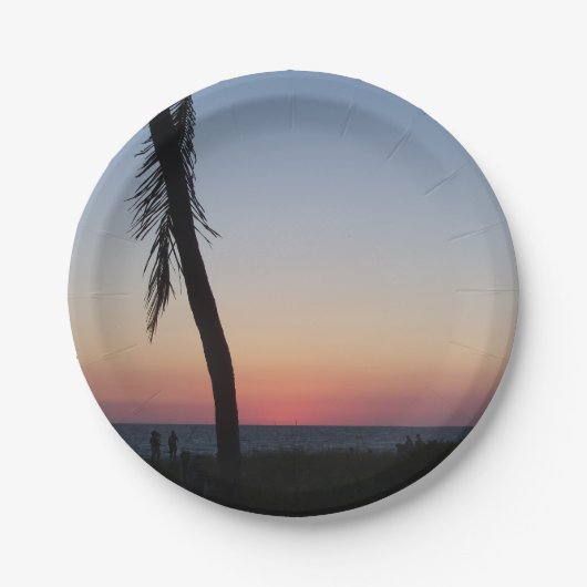 熱帯カラフル夕日の紙プレート ペーパープレート (正面)
