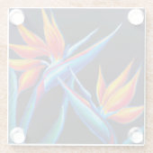 熱帯ガラスのコースター ガラスコースター (裏面)