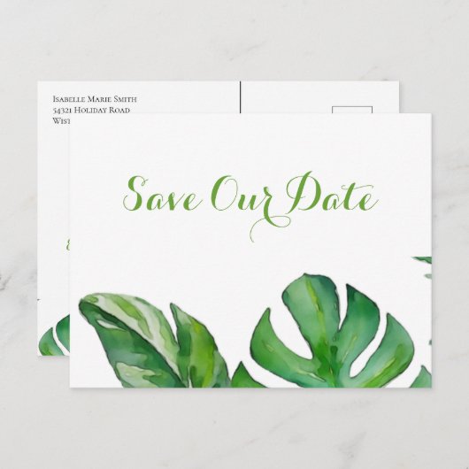 熱帯グリーンウォーター色モンステラ日付を保存 ポストカード (正面/裏面)