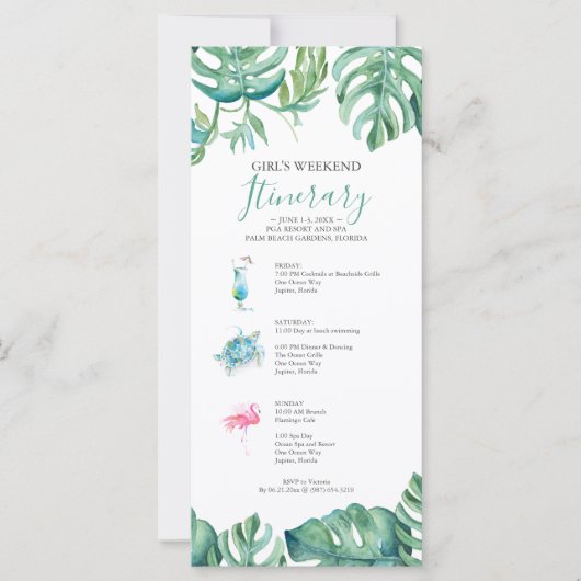 熱帯グリーンウォーター葉カラー旅行日程 (正面)