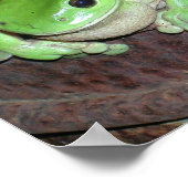 熱帯グリーンツリーカエル ポスター (角)