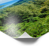 熱帯グリーンムーア写真プリント フォトプリント            (角)