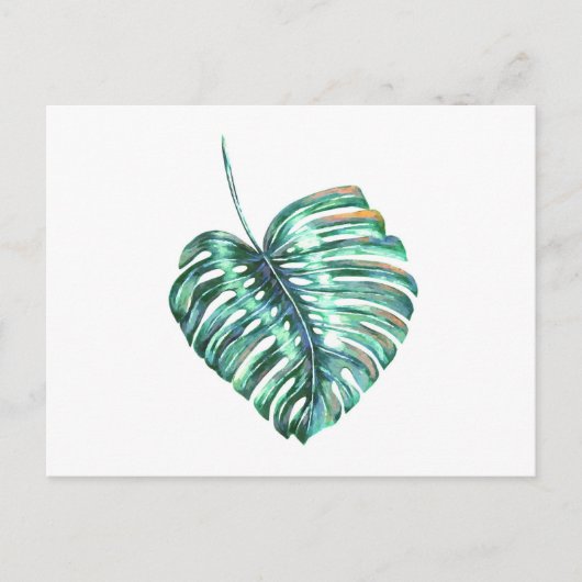 熱帯グリーンモンステラ葉ヤシ ポストカード (正面)